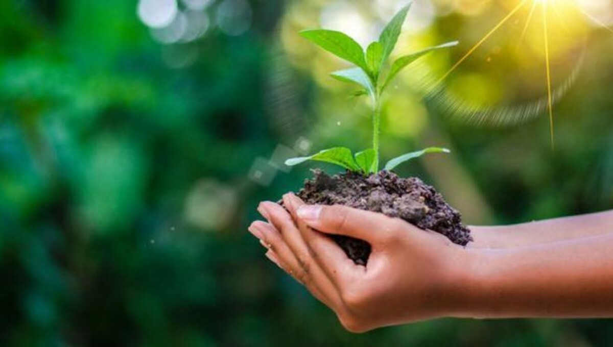 La gestione del rischio in agricoltura