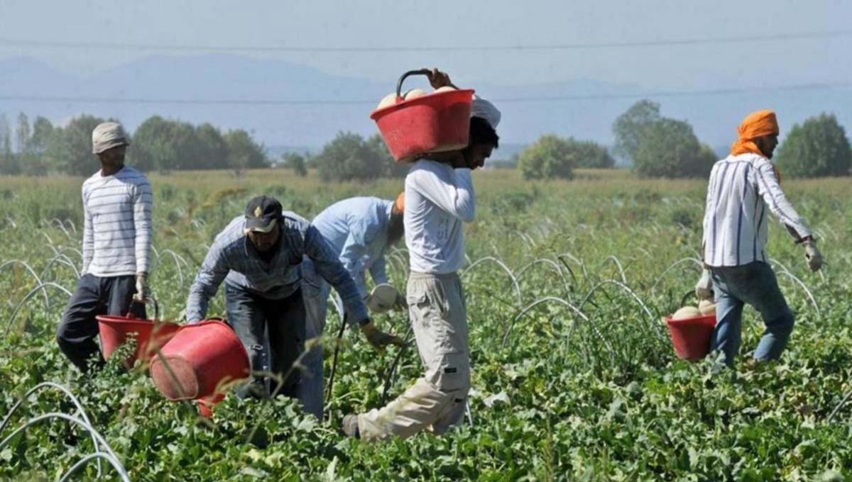 Regolarizzazione Colf, badanti, agricoli: al via le domande