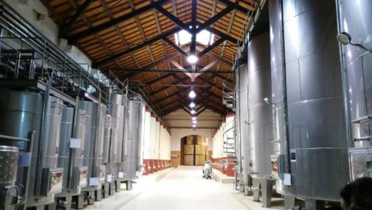 Stoccaggio privato vini di qualità